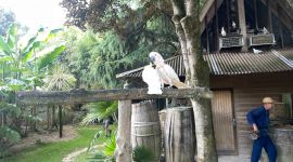 sejour06 181
